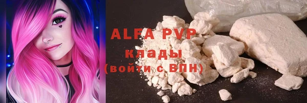 ешки Алексин
