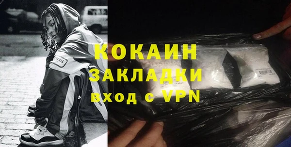 ешки Алексин