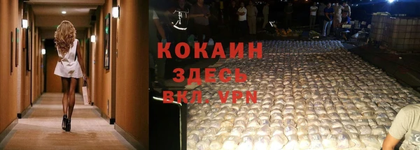 ешки Алексин