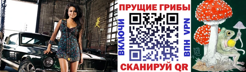 где можно купить наркотик  Самара  МЕГА ТОР  Псилоцибиновые грибы прущие грибы 